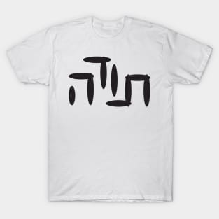 Hebrew Word Thank You T-Shirt